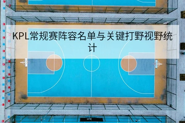 KPL常规赛阵容名单与关键打野视野统计